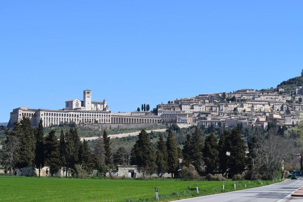 Apartments Aurora Delle Rose Assisi Eksteriør billede